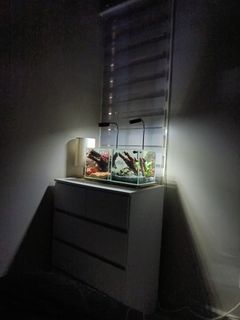 (Category: ) located in . Submitted by izzadsyima (Listing ID 1465604668, Image 1). Description: .