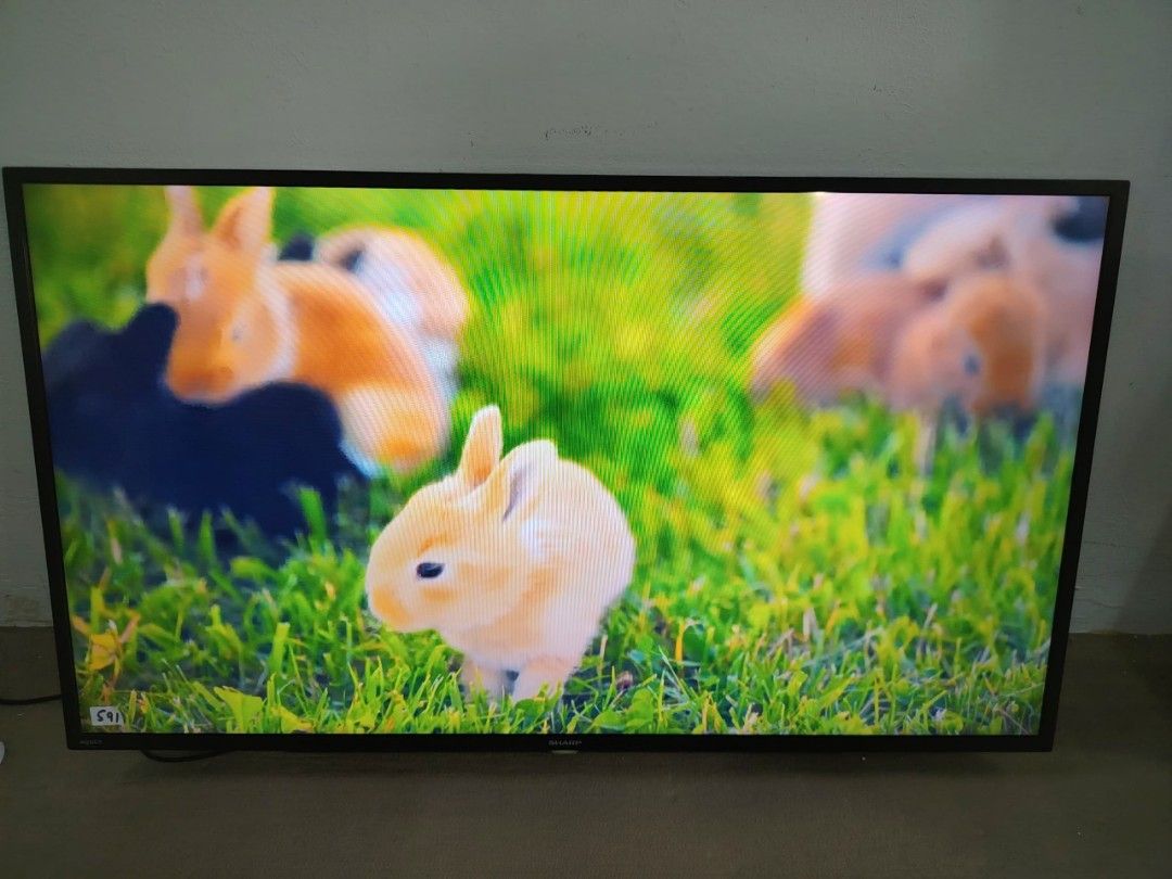 Sharp Android tv 42inch (Category: TV) located in Kuala Lumpur. Submitted by warmstone.62621e (Listing ID 1465637532, Image 3). Description: Second-hand Smart LED TV for sale. 0.1.4.9.2.6.6.0.7.6 Can connect WiFi (YouTube, Netflix, etc.) Comes with remote 📍 Location: Setapak https://share.google/J5zKyaU2fhNpHB698 🚚 Self pickup only.