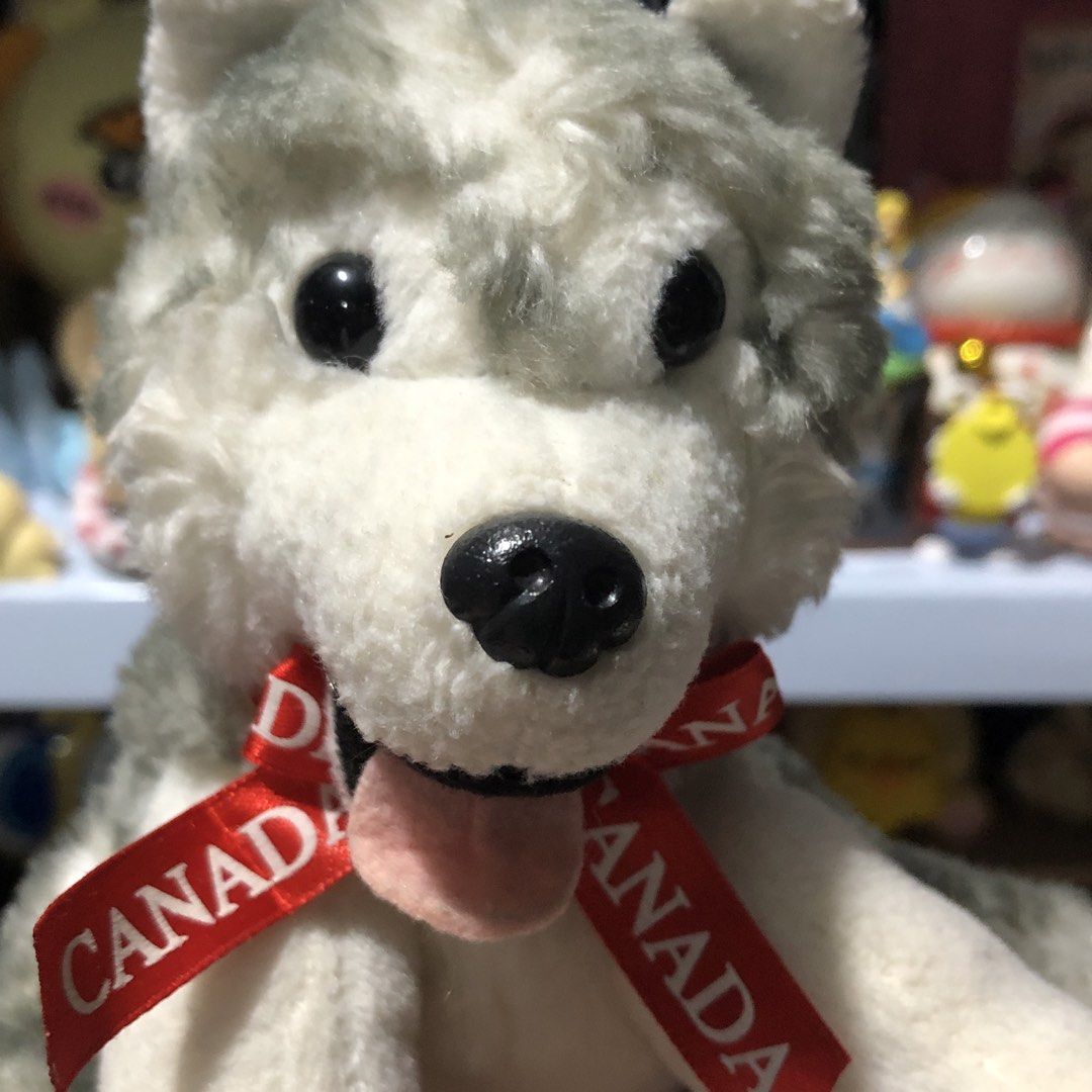 Siberian Husky Canada Plush Dog (Category: Infant Playtime) located in Quezon City. Submitted by kitsune.treasures (Listing ID 1465652108, Image 2). Description: *First to pay policy! *1 day reservation only. Failure to pay on time, auto cancel. 📍Quezon City * MOD: J&T | Lalamove * MOP: GCASH | BPI 📦ON HAND AND READY TO SHIP! CONDITION: WHAT YOU SEE IS WHAT YOU GET. Dimensions: Kindly check the photos for the actual measurements. Please check a