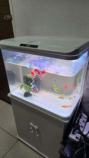 (Category: ) located in . Submitted by darrensekyungkok (Listing ID 1465627134, Image 1). Description: .