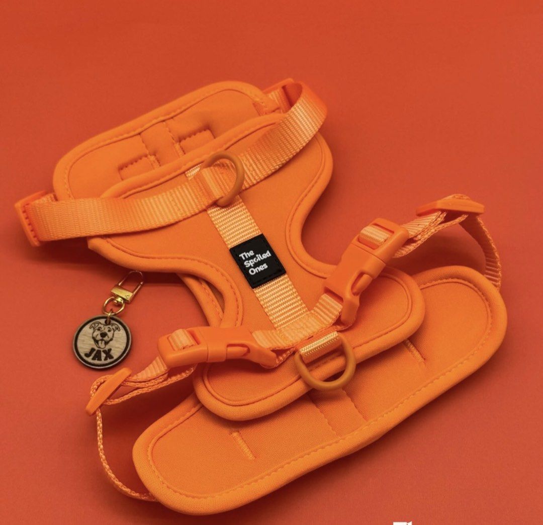 Walk Me Harness Set (Category: Homes & Other Pet Accessories) located in Paranaque City. Submitted by bcia.abiera (Listing ID 1465754549, Image 1). Description: Never been used 1.6k orig price Size: Small (Neck: 10-14 inches & Chest: 14-22 inches) Dm me for more photos! :).