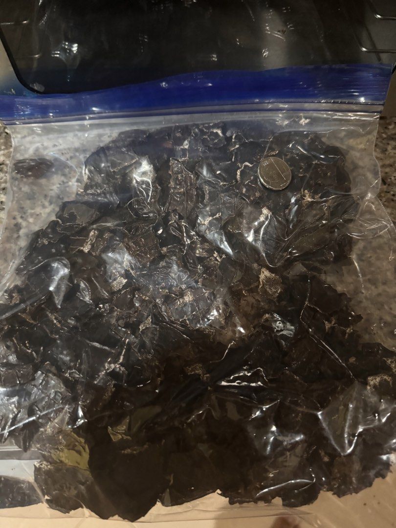 Dried Pasilla Chiles Bag with Coin for Scale (Category: Pet Food) located in Manila. Submitted by marcoservi80468 (Listing ID 1471155123, Image 1). Description: Dehydrated Pork Liver 350g total for 600PHP Or 50g for 150PHP Ingredients: 100% Pork Liver Can also preorder if need more bulk PM for price Shipping Lalamove Or Pickup Paranaque, Better Living - Product: Dehydrated Pork Liver - Packaging: Stored in a clear ziplock bag - Size: Dime placed 