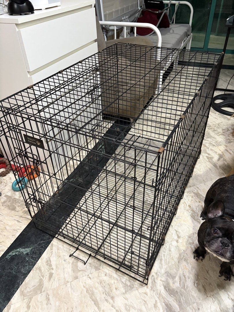 Large Wire Dog Crate Pet Cage with Tray (Category: Homes & Other Pet Accessories) located in Quezon City. Submitted by onetwotrisia (Listing ID 1471228216, Image 1). Description: 🐶 DECLUTTER SALE: DOG CRATE / KENNEL 💰 Selling Price: ₱2,000 (Negotiable!) Barely used dog crate! Bought it for crate training our Golden Retriever, but unfortunately, it didn’t work out. It’s now just taking up space, so we’re letting it go to someone who can still us
