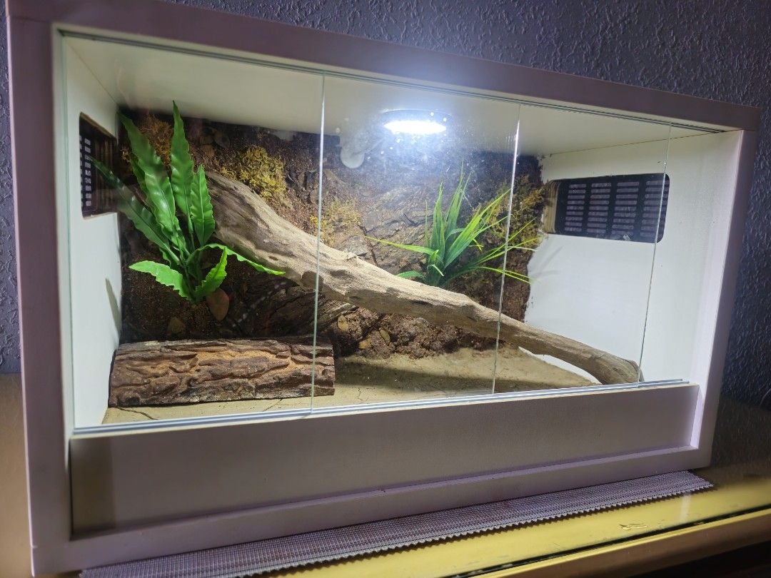 Reptile Enclosure Terrarium Setup With Background And Decor (Category: Shelves, Cabinets & Racks) located in Manila. Submitted by cgjdeclutter (Listing ID 1471165394, Image 3). Description: LEOPARD GECKO ENCLOSURE 💰 PRICE: ₱4,000 ✨ Almost Brand New – Well-maintained and in excellent condition! Specifications & Inclusions: • 📏 Dimensions: 50cm x 30cm x 30cm • 🌿 Fully Scaped Enclosure • 🪵 Hide Included • 💡 LED Lights Included • 🚪 Sliding Glas