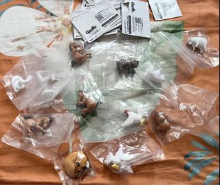 （分類：）位於 。 由 men_boutique 提交（商品編號 1465799979，圖片 1）。簡介： 。