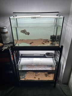 (Category: ) located in . Submitted by mikkymikk (Listing ID 1465882626, Image 1). Description: .