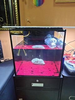 (Category: ) located in . Submitted by livewind.0890ea (Listing ID 1465760990, Image 1). Description: .