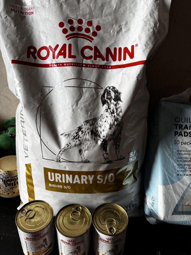 ❤️ 3can Urinary SO 410g meatloaf (Category: Pet Food) located in General Mariano Alvarez. Submitted by almacruzga39169 (Listing ID 1465799587, Image 2). Description: ❤️Sale Sale at a very low price P320 each original price now i’m Selling ❤️ P160 haft price only .