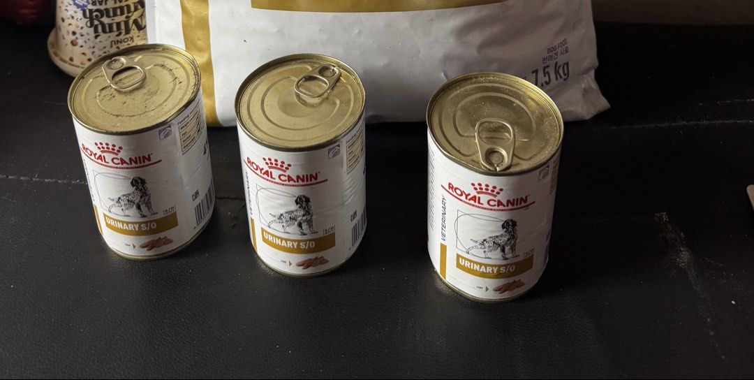 ❤️ 3can Urinary SO 410g meatloaf (Category: Pet Food) located in General Mariano Alvarez. Submitted by almacruzga39169 (Listing ID 1465799587, Image 1). Description: ❤️Sale Sale at a very low price P320 each original price now i’m Selling ❤️ P160 haft price only .
