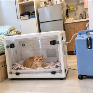 （分類：）位於 。 由 davecc91 提交（商品編號 1465791032，圖片 1）。簡介： 。