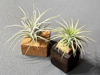 （分類：）位於 。 由 tom_nook 提交（商品編號 1465827945，圖片 1）。簡介： 。