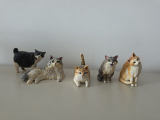 （分類：）位於 。 由 laulai2017 提交（商品編號 1465791518，圖片 1）。簡介： 。