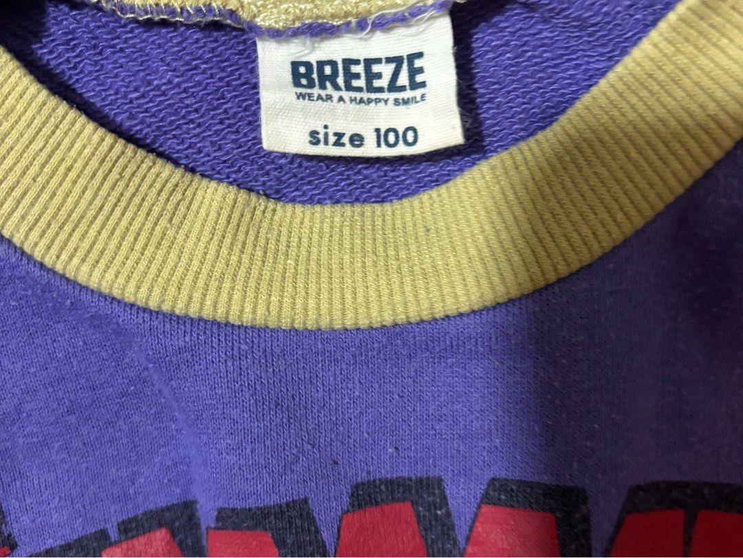 Breeze x Disney Sweatshirt (Category: Babies & Kids Fashion) located in Quezon City. Submitted by closettreasure123 (Listing ID 1465845316, Image 2). Description: 3-4yrs old Issue: Pilling.
