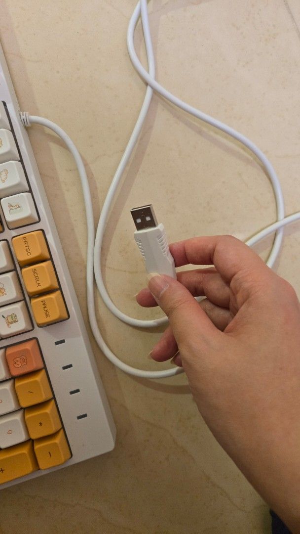 有線機械鍵盤usb cable hot swappable mechanical keyboard （分類：電腦鍵盤及相關產品）位於 Hong Kong。 由 ltche 提交（商品編號 1465907485，圖片 2）。簡介： usb 即插即用 包鍵帽包軸 (linear 靜音軸 唔記得用邊隻) 正常功能 坑口交收/SF到付 Cable connect to use includes all switches and keycaps (forgot what switch its linear and silent one) Normal functions Hang Hau trade or SF delivery (shipping fee not included)。