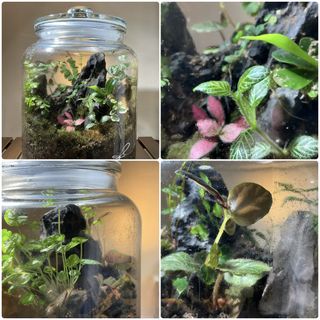 (Category: ) located in . Submitted by joshua_listing (Listing ID 1465931189, Image 1). Description: .