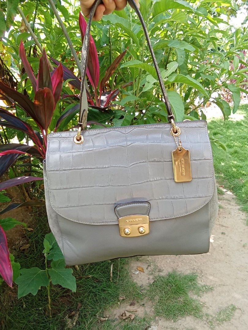 COACH AVARY FLAP CARYALL GRAY BAG (Category: Shoulder Bags) located in Vinzons. Submitted by gracecollectionsph09 (Listing ID 1465777157, Image 1). Description: GOOD CONDITION MINIMAL DIRT ON SUEDE PART NO SLING PAYMENT FIRST BICOL LOCATION.