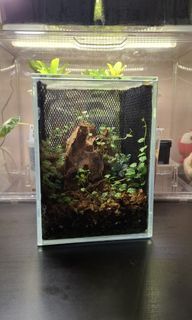 (Category: ) located in . Submitted by v3gqt (Listing ID 1452544744, Image 1). Description: .