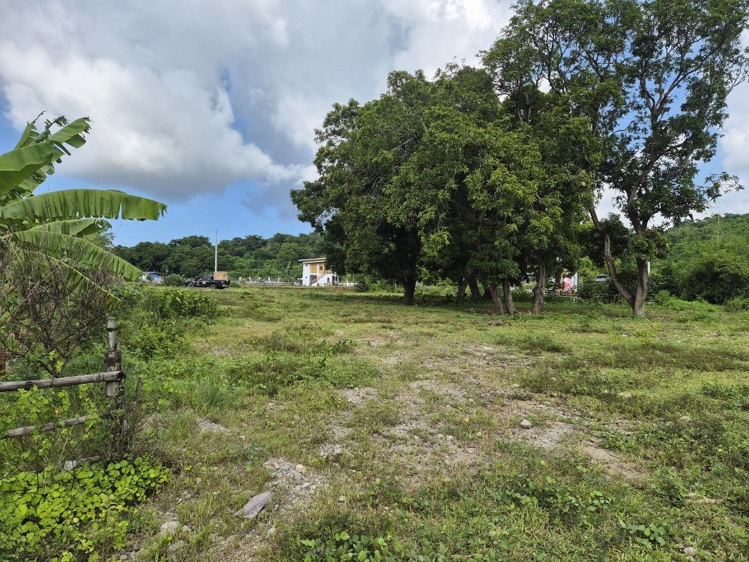 FARM LAND (Category: Lot) located in Cavite. Submitted by cebcar (Listing ID 1439431955, Image 2). Description: I'm the owner of fhe land, so you will be dealing direct to the owner not by agent. Reason of Selling to fund the construction of the farm house along barangay road to be paved in the near future Barangay Maugat, Nasugbu Batangas 1000 sqm suitable to build a vacation house with pool and gardens Very quiet place 1 and a half Mango Tree i
