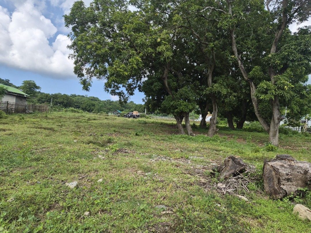 FARM LAND (Category: Lot) located in Cavite. Submitted by cebcar (Listing ID 1439431955, Image 3). Description: I'm the owner of fhe land, so you will be dealing direct to the owner not by agent. Reason of Selling to fund the construction of the farm house along barangay road to be paved in the near future Barangay Maugat, Nasugbu Batangas 1000 sqm suitable to build a vacation house with pool and gardens Very quiet place 1 and a half Mango Tree i