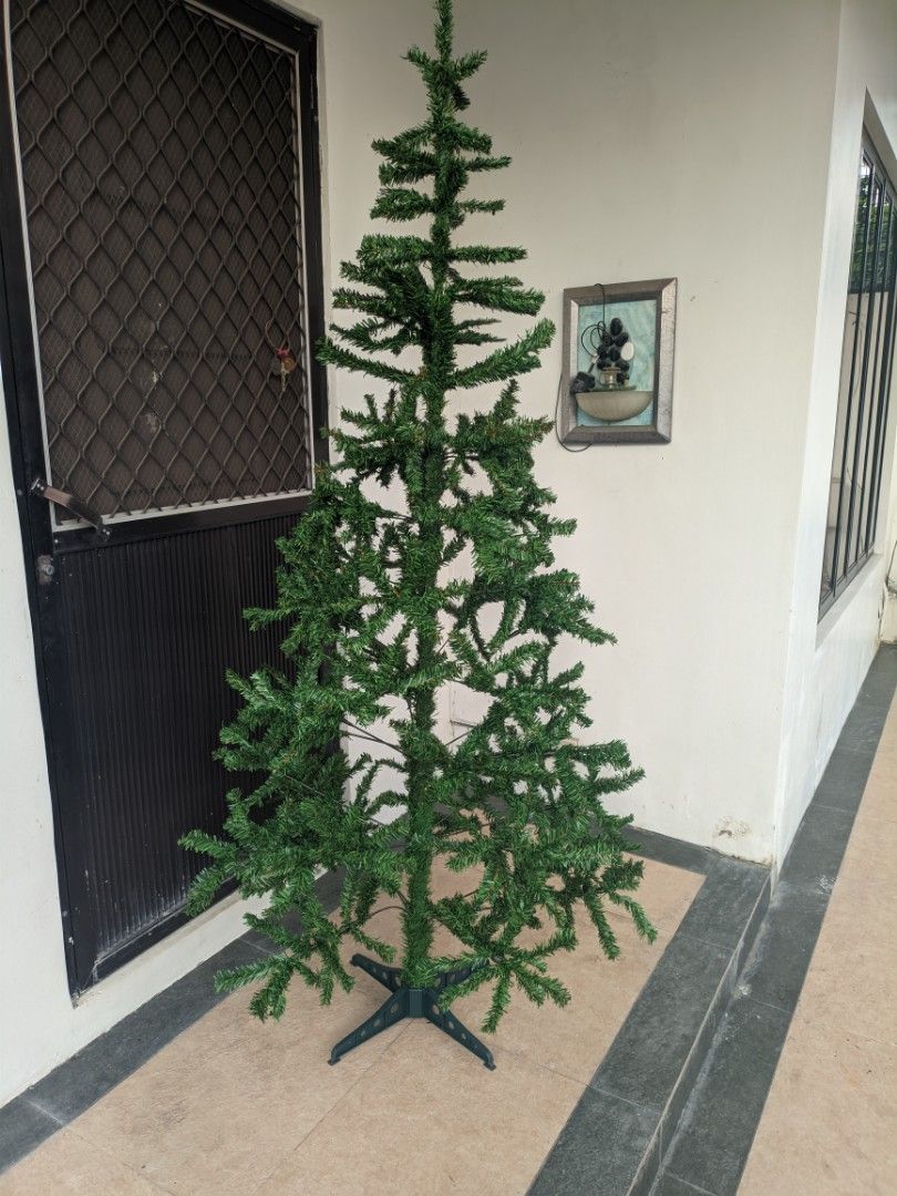 Giant Christmas Tree 7ft (Category: Artificial Plants & Flowers) located in San Mateo. Submitted by rick_enzo (Listing ID 1465946616, Image 3). Description: for sale Christmas tree 7ft 7 feet tall loc San Mateo rizal meetup sa mcdo, gb lang or ipalalamove.