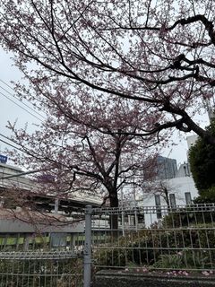 (Category: ) located in . Submitted by hyewonss (Listing ID 1465851599, Image 1). Description: .