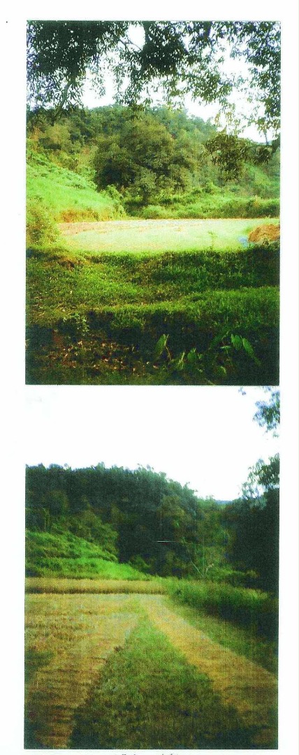 (Category: ) located in . Submitted by sheriesung89940 (Listing ID 1465928070, Image 1). Description: .