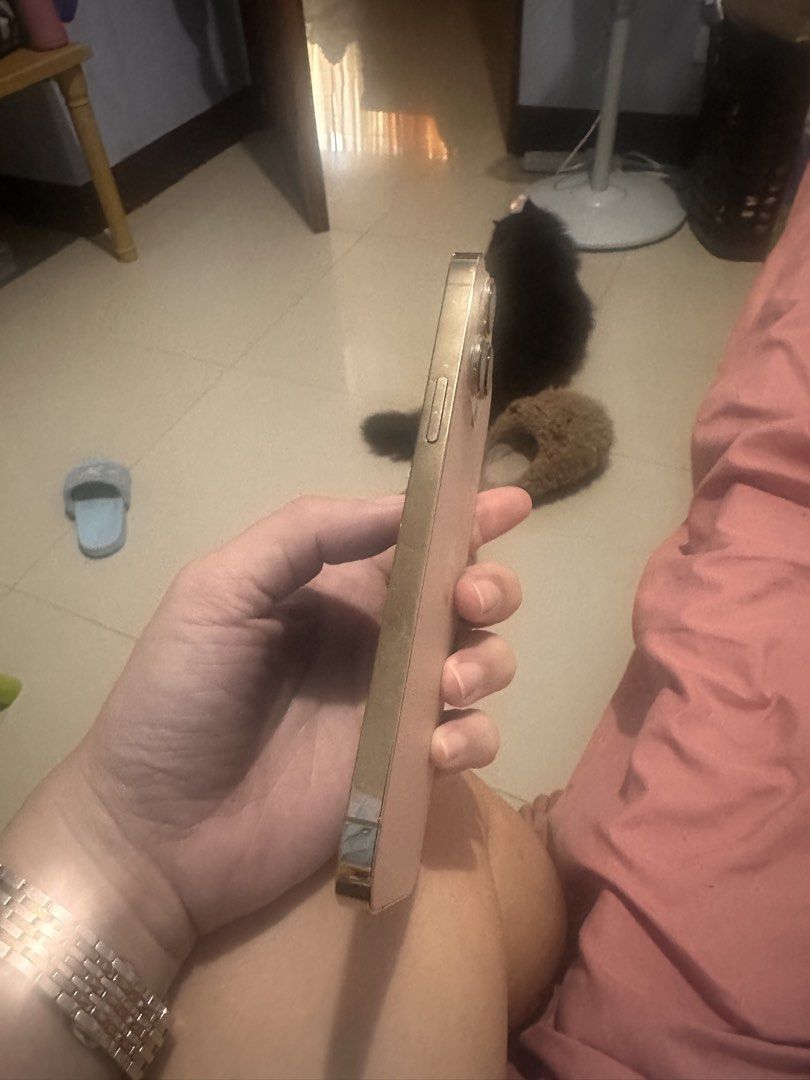 iPhone 13 Pro Max 256GB (Category: iPhone 13 Series) located in Los Banos. Submitted by audreyrose77727 (Listing ID 1465786665, Image 3). Description: iPhone 13 Pro Max 256gb Working very well Very Minimal scratches (almost none) Open line.