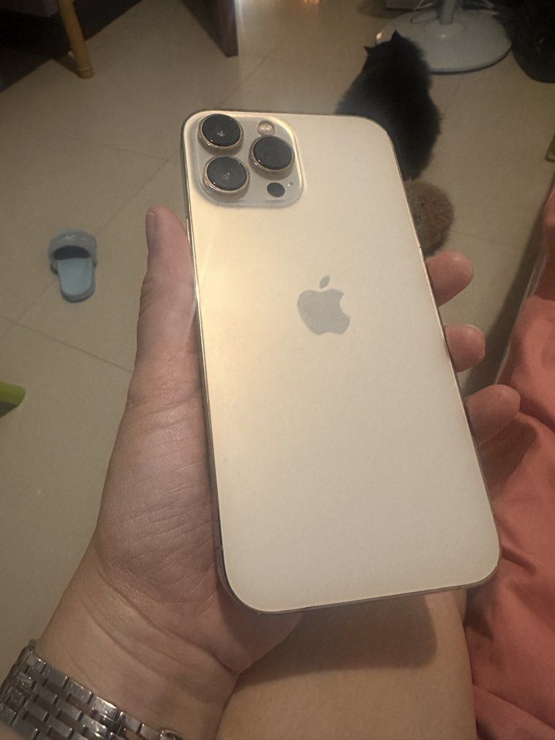 iPhone 13 Pro Max 256GB (Category: iPhone 13 Series) located in Los Banos. Submitted by audreyrose77727 (Listing ID 1465786665, Image 2). Description: iPhone 13 Pro Max 256gb Working very well Very Minimal scratches (almost none) Open line.