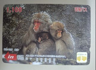 （分類：）位於 。 由 disneyjpass 提交（商品編號 1465884312，圖片 1）。簡介： 。