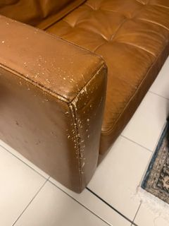 (Category: ) located in . Submitted by ftrhs (Listing ID 1465775298, Image 1). Description: .