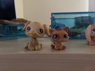 (Category: ) located in . Submitted by lylasellsstuff (Listing ID 1465854994, Image 1). Description: .