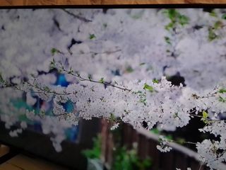 （分類：）位於 。 由 sejolai 提交（商品編號 1465828789，圖片 1）。簡介： 。