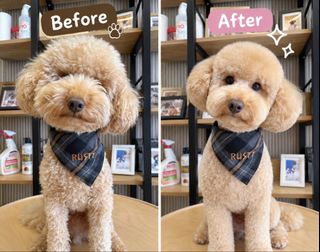 (Category: ) located in . Submitted by grooming (Listing ID 1465858632, Image 1). Description: .