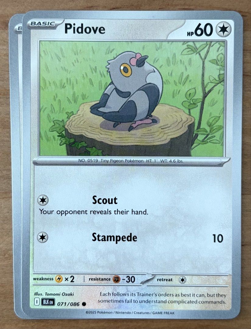 Pidove | Pokemon Cards ~ Black Bolt (Category: Raw Singles) located in Makati City. Submitted by cardlab (Listing ID 1465948708, Image 1). Description: Items are 💯 authentic/original/legit. About The Card: •Language: EN • Number: 071/086 • Common • Normal FOR: • Cards ₱99 and below with Card Sleeves • Cards ₱100 and up with Card Sleeves and Used Toploader • ₱10 for Bnew Tops Packaging (If Shipping): ✔️ Plastic cover ✔️ Cardboard ✔️ Bubble wrap N