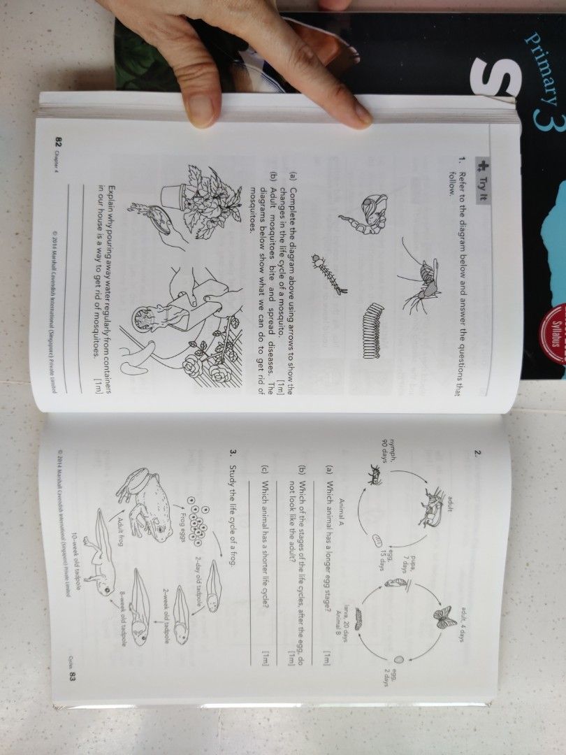 Primary 3 Science Practice, Notes & Guide Bundle (Category: Textbooks) located in Singapore. Submitted by bluesky_tay (Listing ID 1465770485, Image 6). Description: All for $18 1) P3 Science by Janet Sim (New syllables) - used 5-10% mostly in pencil FOC Handy Guide for Every Parent (old).