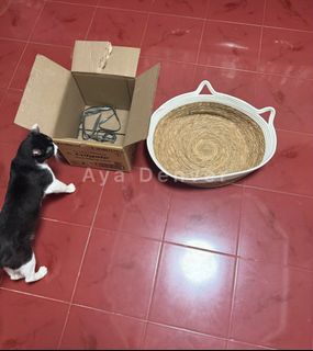 (Category: ) located in . Submitted by baguetteparangkasalananko (Listing ID 1465776189, Image 1). Description: .