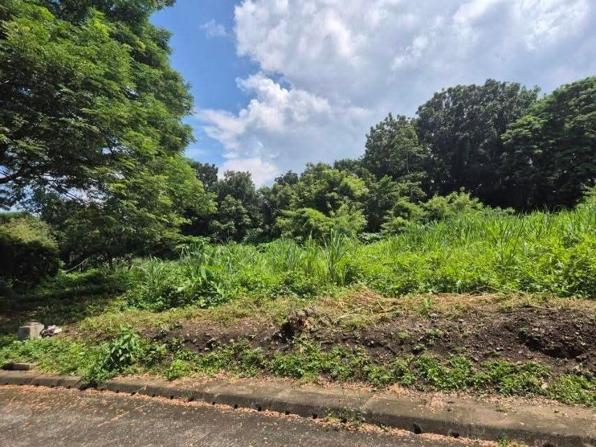 Residential Lot (Category: Lot) located in Bay. Submitted by aproj (Listing ID 1465791879, Image 1). Description: ✳️Lot only for sale (Residential) Clean Title 599 sqm CERIS II SUBDIVISION, BGY. CANLUBANG Nearby Access: Close to SLEX (South Luzon Expressway) via Mayapa, Batino, and Silangan exits, as well as the Nuvali area. ~15mins from Nuvali Near access to SLEX exit Near schools (Xavier School Nuvali, Miriam, Everest, Don Bosco) - Lush green s