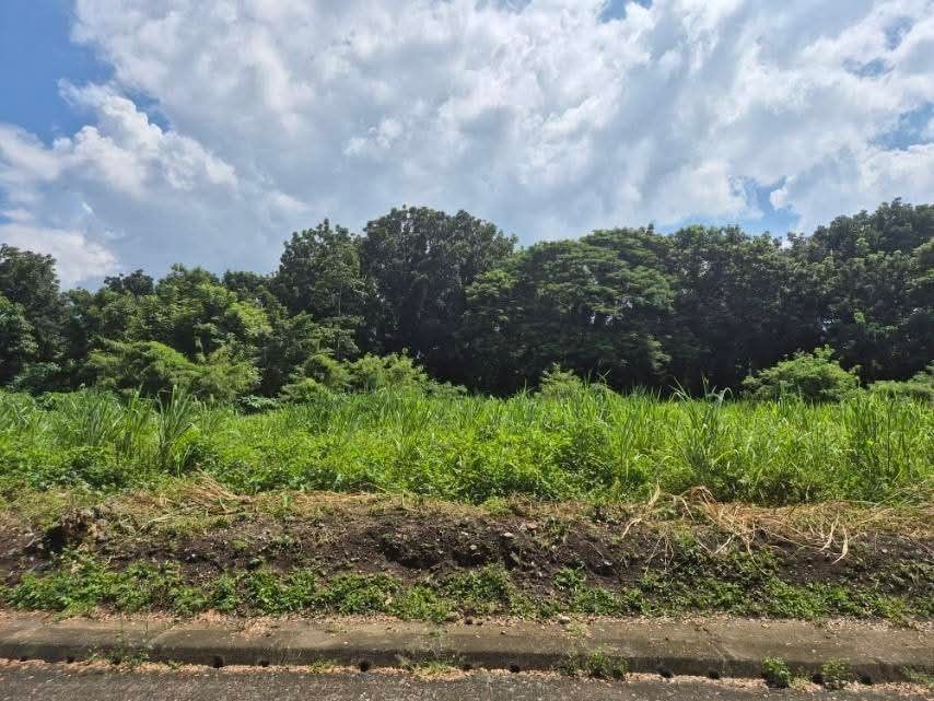 Residential Lot (Category: Lot) located in Bay. Submitted by aproj (Listing ID 1465791879, Image 3). Description: ✳️Lot only for sale (Residential) Clean Title 599 sqm CERIS II SUBDIVISION, BGY. CANLUBANG Nearby Access: Close to SLEX (South Luzon Expressway) via Mayapa, Batino, and Silangan exits, as well as the Nuvali area. ~15mins from Nuvali Near access to SLEX exit Near schools (Xavier School Nuvali, Miriam, Everest, Don Bosco) - Lush green s