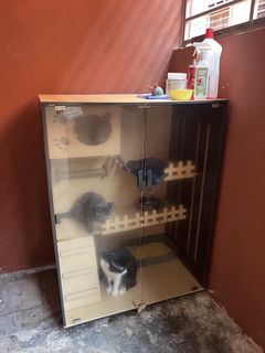 (Category: ) located in . Submitted by ellstock (Listing ID 1465799785, Image 1). Description: .