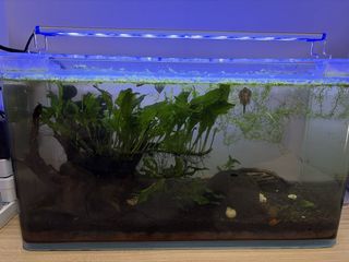 (Category: ) located in . Submitted by elfredlim (Listing ID 1465763046, Image 1). Description: .