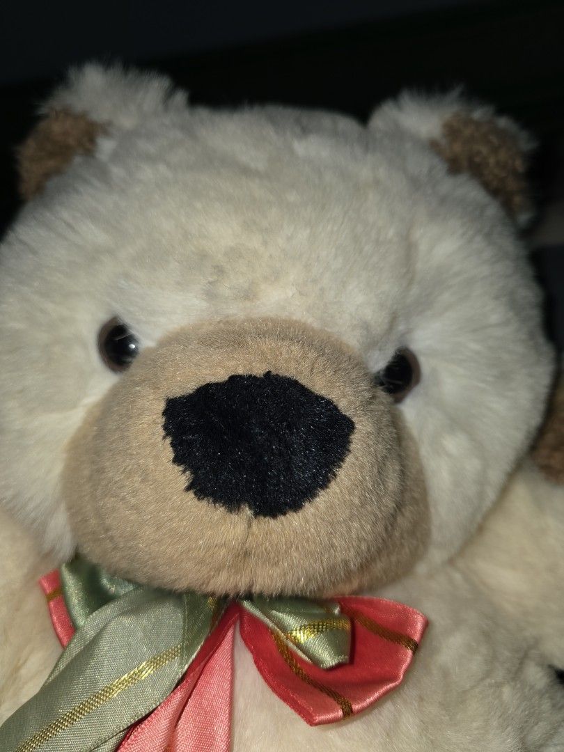 White Teddy Bear (Category: Plushies & Soft Toys) located in Quezon. Submitted by sabluviah_ (Listing ID 1465784419, Image 2). Description: A soft and fluffy white teddy bear that is perfect for cuddles, comfort, and sweet moments. Its simple white color gives it a clean, cozy, and adorable look. A cute little companion that you can keep beside you, hug when you're feeling down, or give as a special gift to someone you love. 🧸.