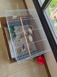 (Category: ) located in . Submitted by sharminsohel.868 (Listing ID 1465780780, Image 1). Description: .