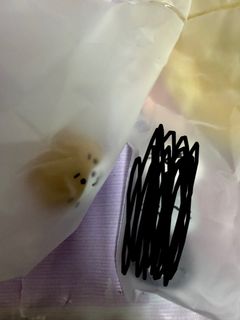 （分類：）位於 。 由 spring_wind 提交（商品編號 1466003697，圖片 1）。簡介： 。
