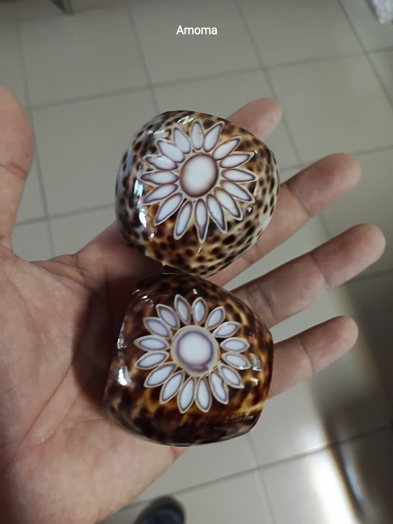 2pcs table napkin holder seashell (Category: Towels, Napkins & Holders) located in Taguig. Submitted by amomaenterprise (Listing ID 1465964340, Image 3). Description: 2pcs table napkin holder made of tiger cowrie seashell with flower design.