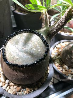 （分類：）位於 。 由 j8757 提交（商品編號 1466106924，圖片 1）。簡介： 。