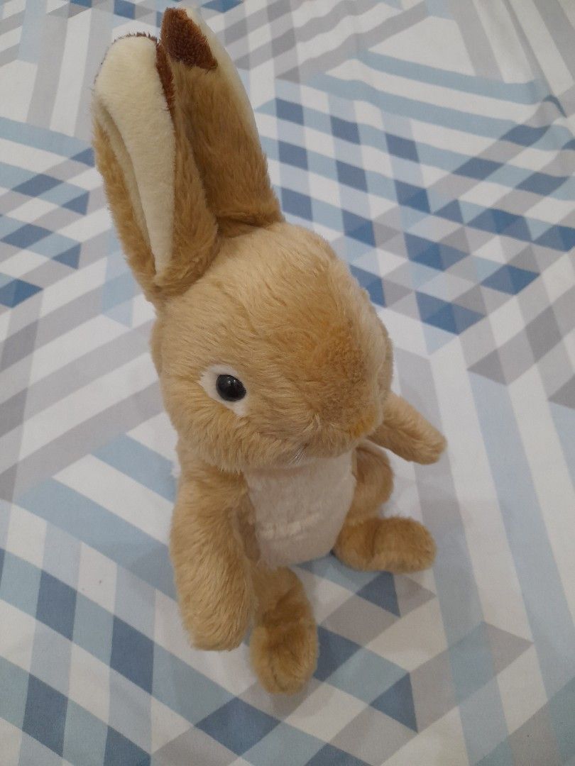 BIG SIZE PETER RABBIT PLUSH 16" (Category: Plushies & Soft Toys) located in Bulacan. Submitted by nansantiago (Listing ID 1466118969, Image 1). Description: BIG SIZE PETER RABBIT PLUSH 16" Very good condition 🏷️ ₱550‼️ 📍 Location: Plaridel, Bulacan 💸 Mode of Payments: Gcash / BPI 📦 Pick-up / Ship 🚚 Couriers : Flash Express / SPX / Lalamove.