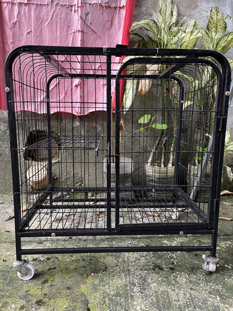 Black two-layer metal pet cage with wheels (Category: Storage Boxes & Baskets) located in Quezon City. Submitted by judyannaragonnavijas2116 (Listing ID 1466099423, Image 1). Description: - Type: Heavy-duty 2-tier metal pet cage - Dimensions: 61cm (L) x 44cm (W) x 66cm (H) - Features: Built-in ramp, platform shelf, secure front door latch, and smooth-rolling wheels - Ideal For: Cats, rabbits, or small dogs - Condition/Quality: Sturdy construction