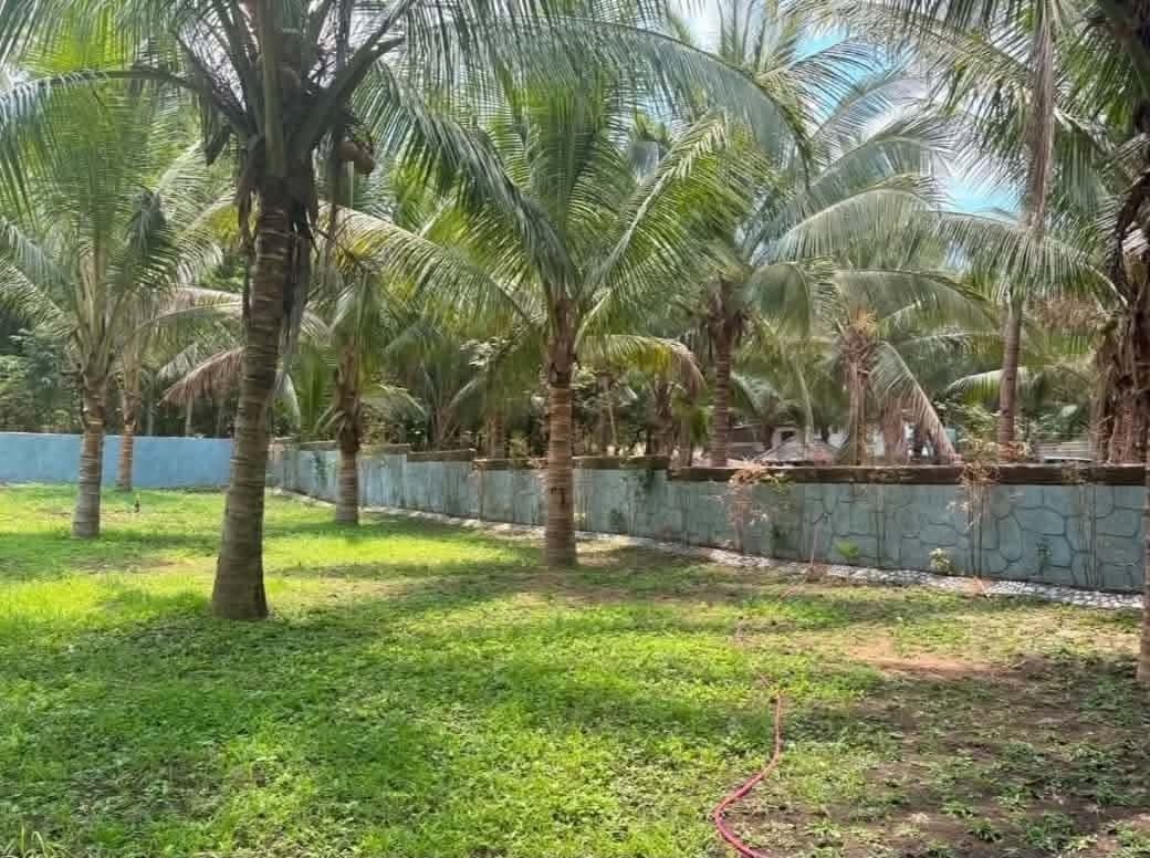 CALACA BATANGAS LOT FOR SALE (Category: Lot) located in Makati City. Submitted by peralesearl (Listing ID 1466035935, Image 3). Description: 🌴 LOT FOR SALE — CALACA, BATANGAS 🌴 📍 Calaca, Batangas 📐 Lot Area: 570 SQ.M 💰 PRICE: ₱1,800,000 ✅ INCLUDING TRANSFER EXPENSES 📄 Clean Title 🧾 Updated Tax Declaration 🏡 Direct Seller ✨ PROPERTY HIGHLIGHTS: ✔️ With Dwarf Coconut Trees 🌴 ✔️ Near resorts and vacation destinations ✔️ Approximately 10 min