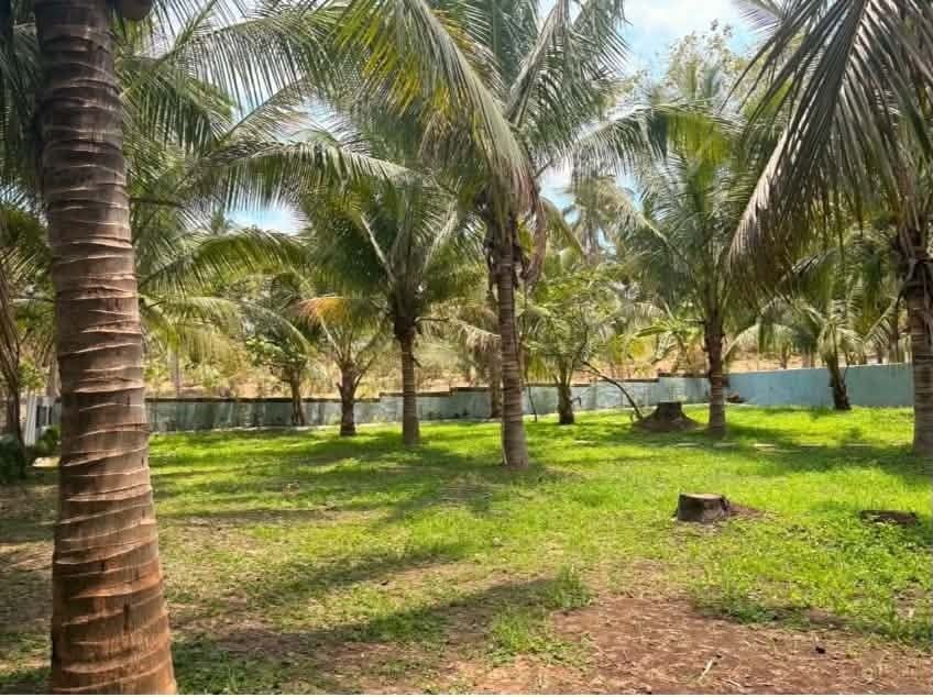 CALACA BATANGAS LOT FOR SALE (Category: Lot) located in Makati City. Submitted by peralesearl (Listing ID 1466035935, Image 1). Description: 🌴 LOT FOR SALE — CALACA, BATANGAS 🌴 📍 Calaca, Batangas 📐 Lot Area: 570 SQ.M 💰 PRICE: ₱1,800,000 ✅ INCLUDING TRANSFER EXPENSES 📄 Clean Title 🧾 Updated Tax Declaration 🏡 Direct Seller ✨ PROPERTY HIGHLIGHTS: ✔️ With Dwarf Coconut Trees 🌴 ✔️ Near resorts and vacation destinations ✔️ Approximately 10 min