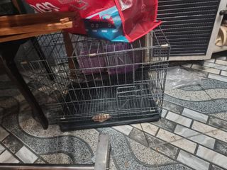 (Category: ) located in . Submitted by bella.items (Listing ID 1466072294, Image 1). Description: .
